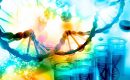 O que é PCR em tempo real? Qual sua importância para o diagnóstico de doenças?