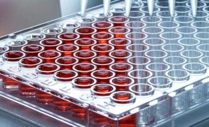 O que é uma Microplaca para    PCR e como ela funciona?