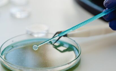 As Vantagens e Desvantagens das Placas de Petri descartáveis