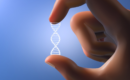 Desafios e Soluções na Extração de DNA Eficaz