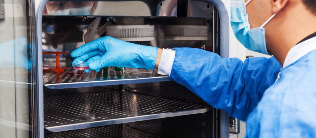 Estufa para Laboratório Conheça Alguns Modelos Usados no Laboratório.