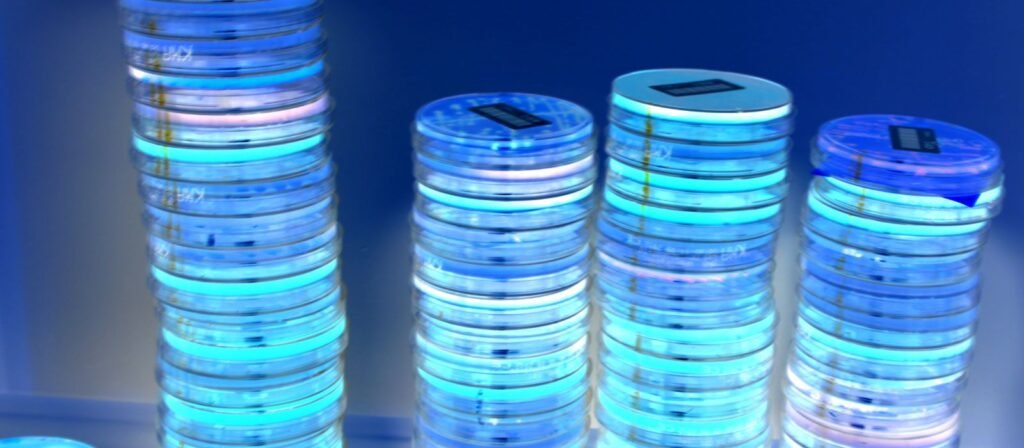 A importância do Caldo Mueller Hinton para a Microbiologia