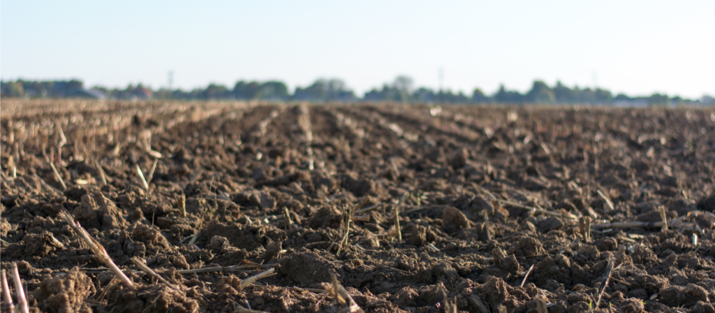 A Importância da Granulometria do Solo Entendendo Mais