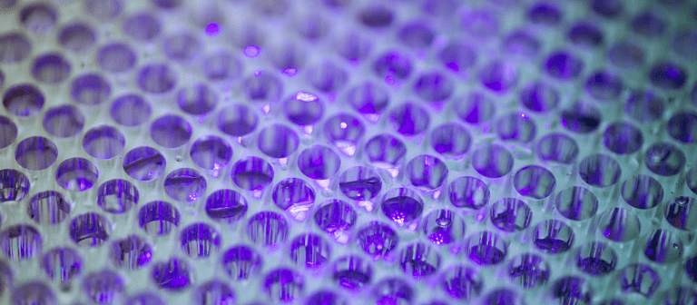 Sem nome (1600 × 700 px) (25)