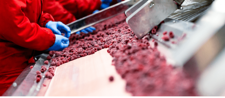 biofilme bacteriano
