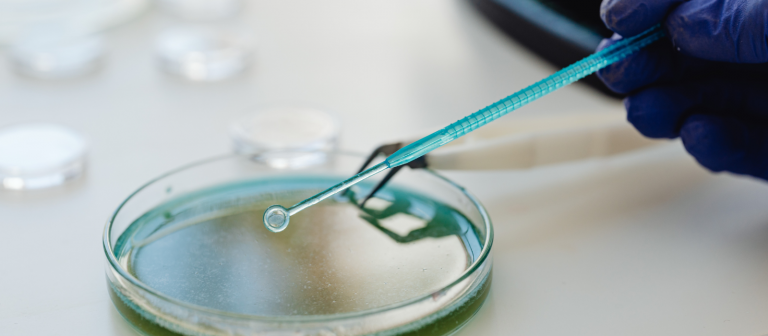 consumiveis para laboratório
