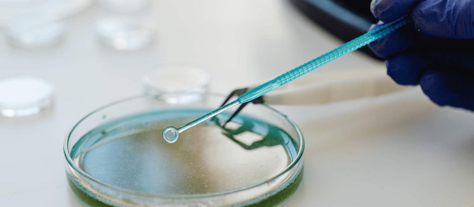consumiveis para laboratório