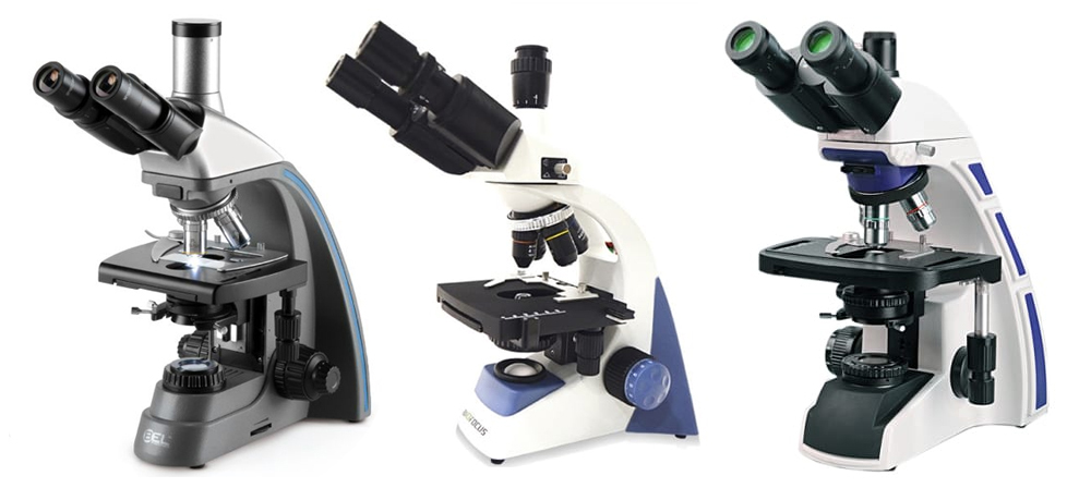 tipos de microscopio 4 tipos de microscopio 2
