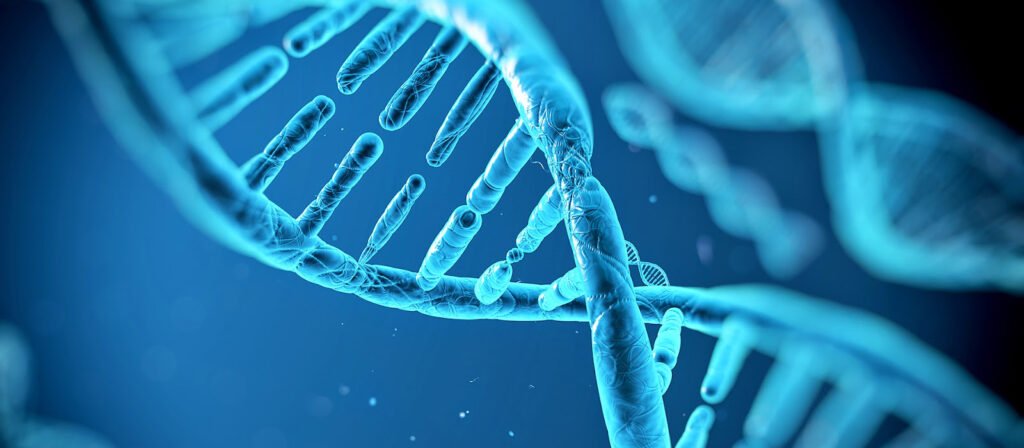 Termociclador de PCR em Tempo Real - Saiba suas Funções