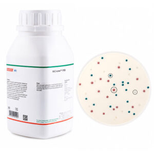 Ágar Base Cromogênico Seletivo Strepto B - Modelo AGC-8024 - HIMEDIA*
