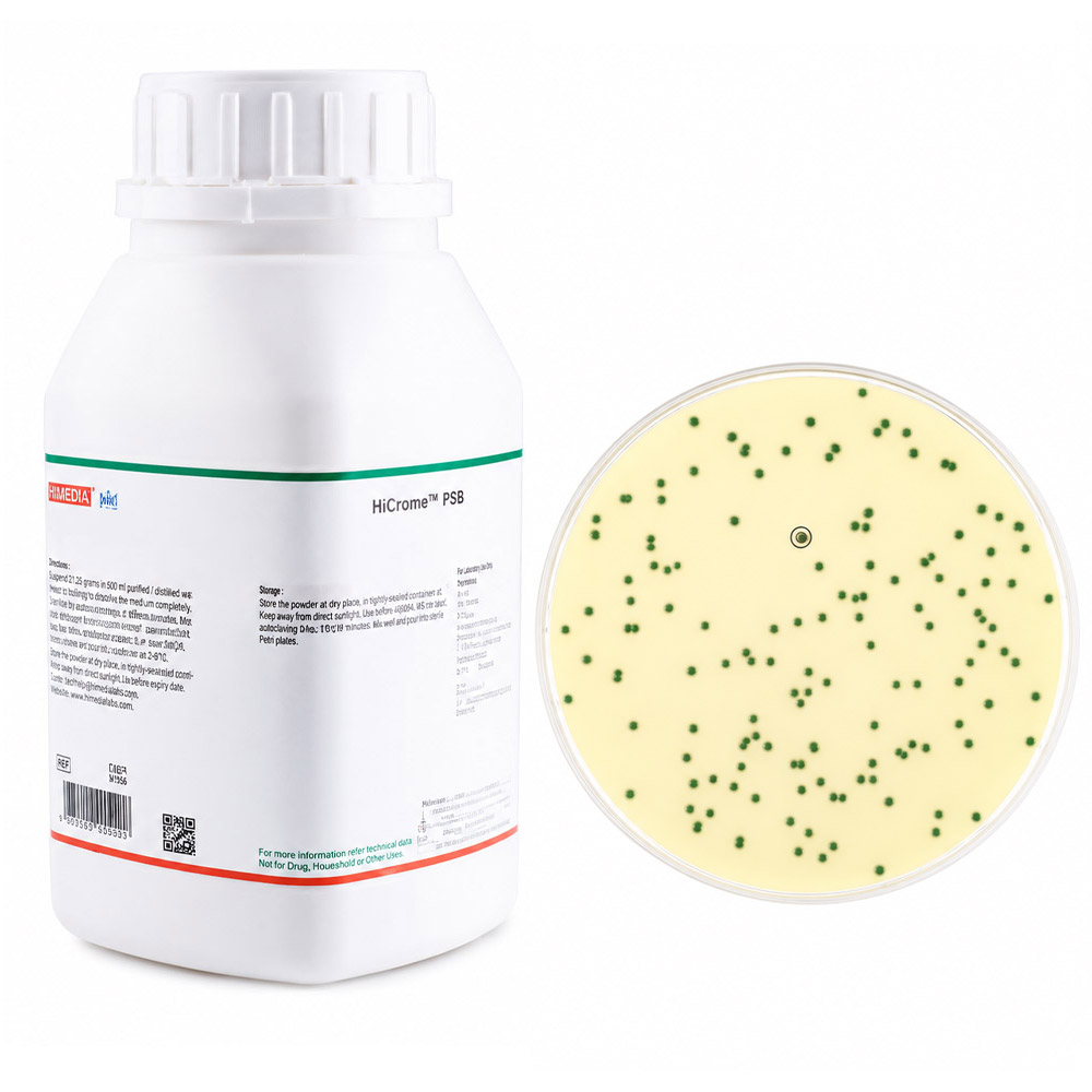 Agar Base Cromogenico Staphylococcus Aureus resistente a Meticilina MRSA Ágar Base Cromogênico Staphylococcus Aureus… Modelo AGC-8011