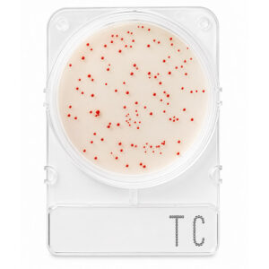 Compact Dry Bactérias Totais TC 100 Testes