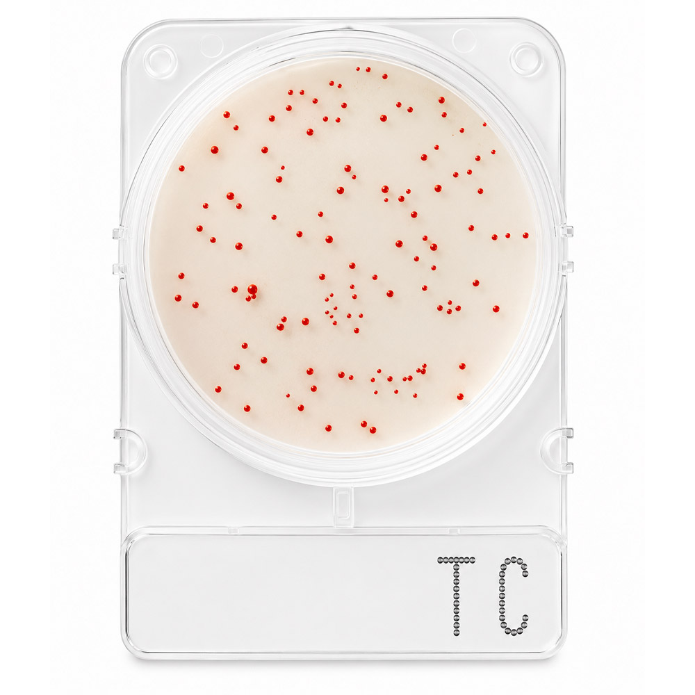 Compact Dry Bacterias Totais TC 1 Compact Dry Bactérias Totais TC 100 Testes