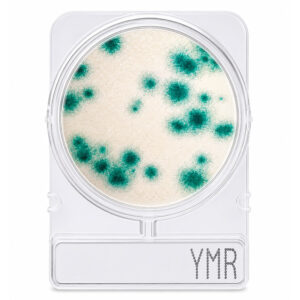 Compact Dry Bolores e Leveduras Método Rápido YMR 100 Testes