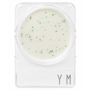Compact Dry Bolores e Leveduras YM 100 Testes
