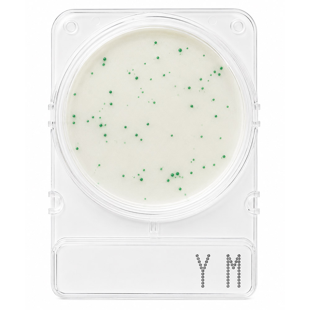 Compact Dry Bolores e Leveduras YM 1 1 Compact Dry Bolores e Leveduras YM 100 Testes