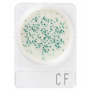 Compact Dry Coliformes Totais CF 100 Testes