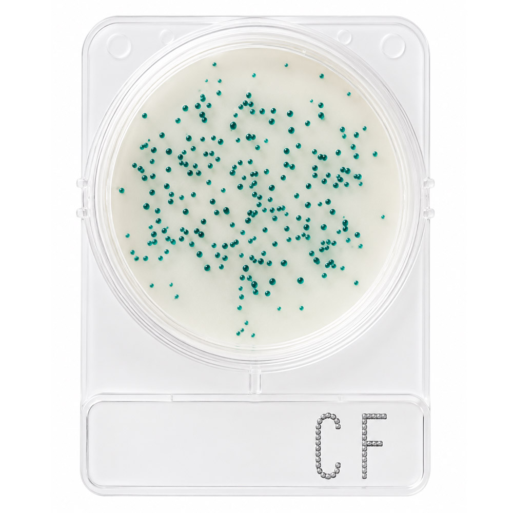 Compact Dry Coliformes Totais CF 1 Compact Dry Coliformes Totais CF 100 Testes