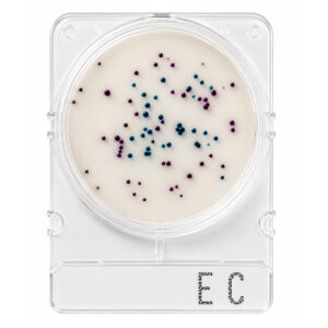Compact Dry Coliformes e E. Coli EC 100 Testes