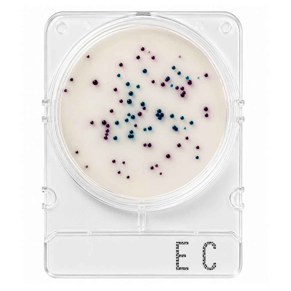 Compact Dry Coliformes e E. Coli EC 1 1 Compact Dry Coliformes e E. Coli EC 100 Testes