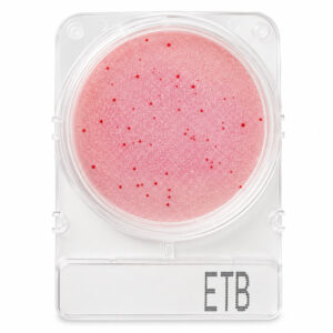 Compact Dry Enterobactérias ETB 100 Testes