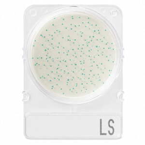 Compact Dry Listeria Spp LS 100 Testes