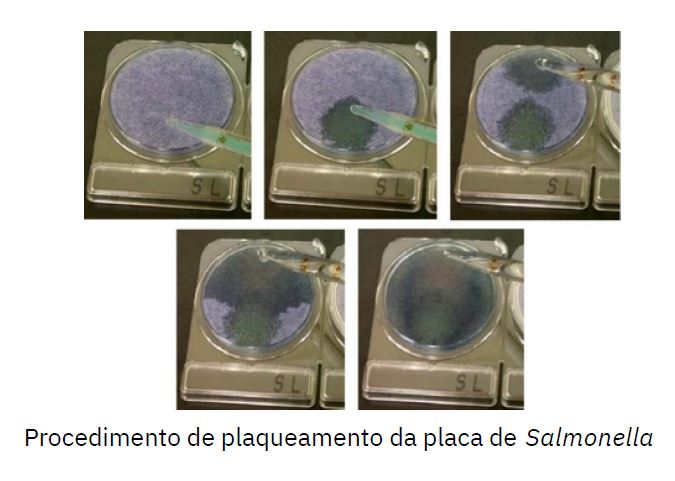 Compact Dry Salmonella SL 2 Compact Dry Salmonella SL - 100 Testes - NISSUI