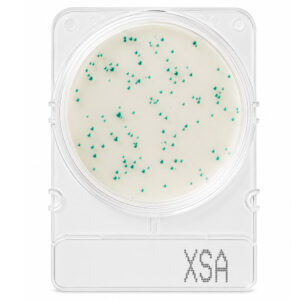 Compact Dry Staphylococcus Aureus X-SA 100 Testes