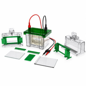 Cuba Vertical para Eletroforese - Capacidade 30 Amostras - Com 2 Bandejas de Gel (83x73mm e 86x68mm) e 2 Bandejas de Vidro (101x83mm e 101x73mm) - Modelo SP-CVE/700 - SPLABOR