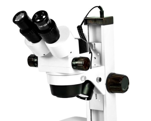 Estereomicroscópio Binocular com Oculares WF20x e Iluminação em LED - Modelo ECZ-BLACK-BI-90-L-BI - BIOFOCUS - Imagem 3