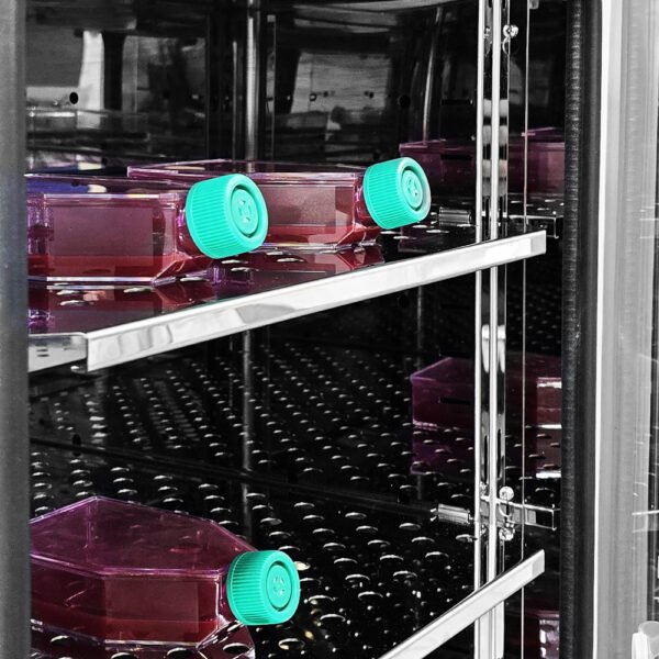 Incubadora de CO² - Jaquetada de Ar - Capacidade 180 Litros - Faixa de Temperatura 5 a 60°C - Modelo MCP-180 - MIDEA BIOMEDICAL - Imagem 46
