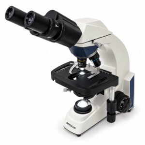 Microscópio Biológico Binocular - 4 Objetivas Acromáticas - Aumento de até 1600X - Modelo BLUE1600BA-L-BAT - BIOFOCUS