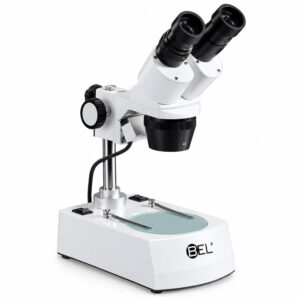 Microscópio Estéreoscópio Binocular – Objetiva 2X/4X – Aumento 20X e 40X – Com Lâmpada LED - Modelo EL224 - BEL