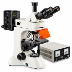 Microscópio Trinocular com Fluorescência - Objetivas Planacromáticas 4X/10X/40X/100X - Aumento até 1000X - Modelo FLUO3 - BEL