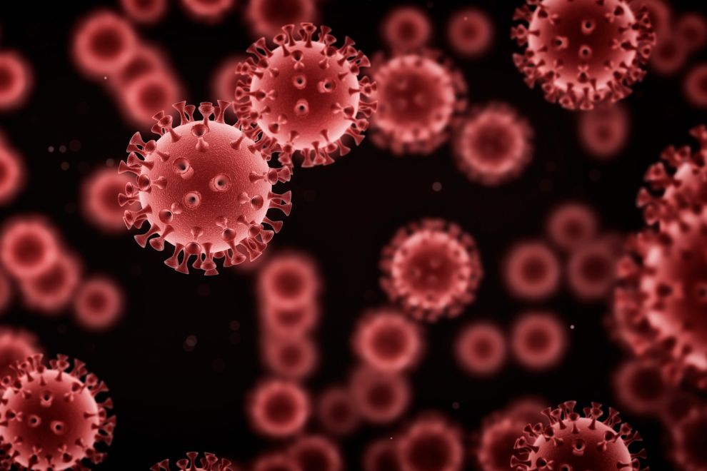 Freezer 80 Virologia Armazenamento de Cepas Virais Freezer -80 Virologia: Armazenamento de Cepas Virais