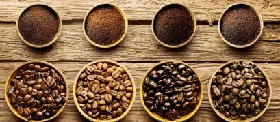 Analisadores de Umidade – Guia do Comprador