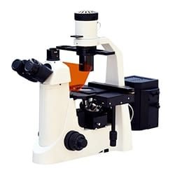 BIO-INVERT-FLUO-BI-