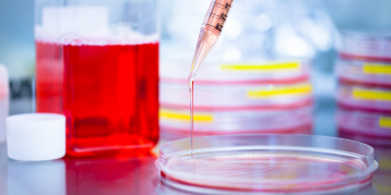 Design sem nome (36)