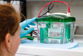 Eletroforese (1080 × 1980 px) (990 × 660 px)