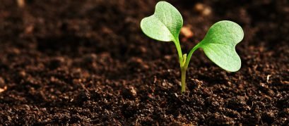 Equipamentos para Laboratório de Solo - Guia Rápido