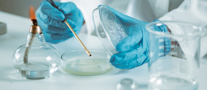 Evitando Armadilhas na Preparação de Meios de Cultura