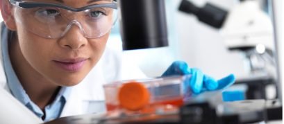 Incubadora de CO2 vs. Estufa Microbiológica Qual escolher