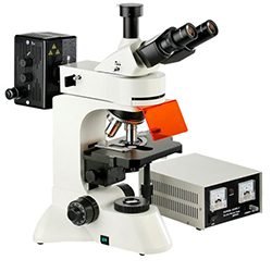 Microscopio-Biologico-Trinocular-com-Fluorescencia-