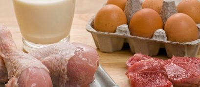 PCR em tempo real para detectar fraudes em carnes e leite