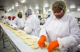 Ropa-industria-alimentaria