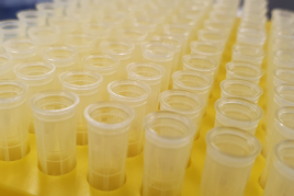 Sem nome (1600 px × 700 px) (1080 px × 1080 px) (990 px × 660 px) (1)