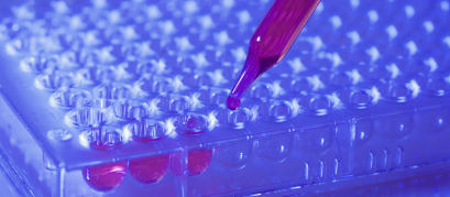 Sem nome (1600 px × 700 px) (41)