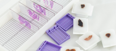 Sem nome (1600 px × 700 px) (66)