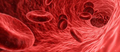 Sem nome (1600 × 700 px) (23)