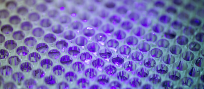 Sem nome (1600 × 700 px) (25)